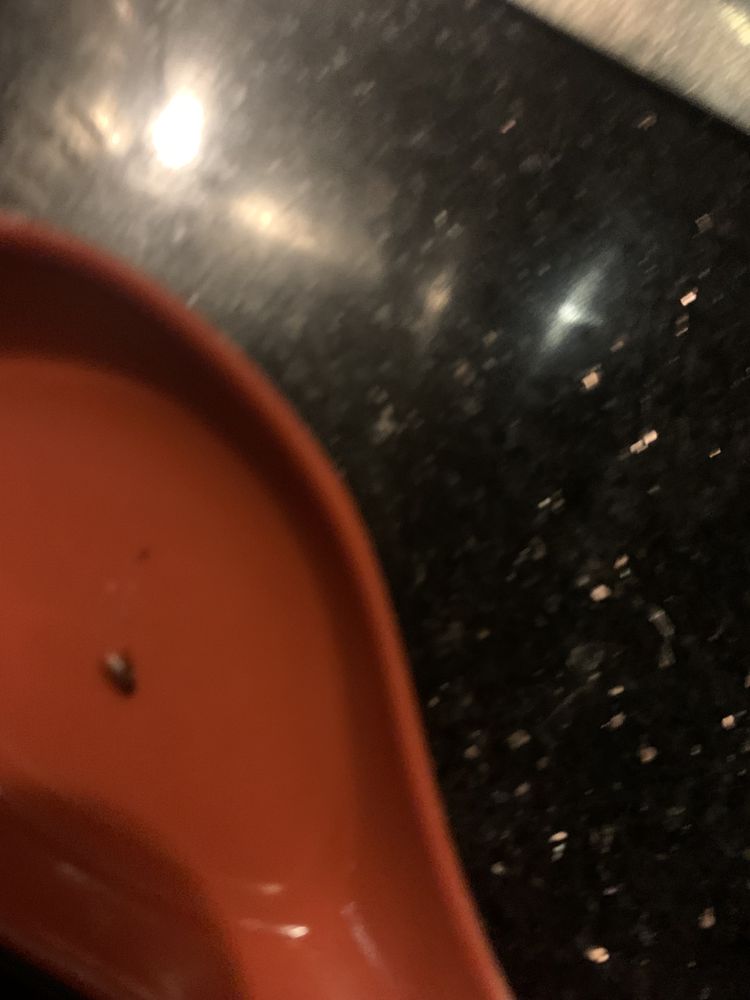 Ichiban Japanese Hibachi Steakhouse & Sushi