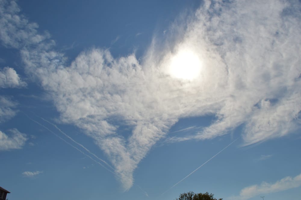 Photos for Gunnison Beach - Yelp