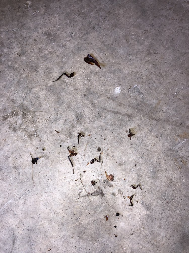 Iron Guard Storage - Jacksonville