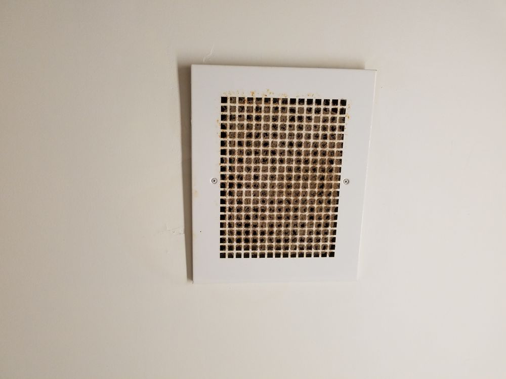 Microtel Inn & Suites by Wyndham Greenville/University Med