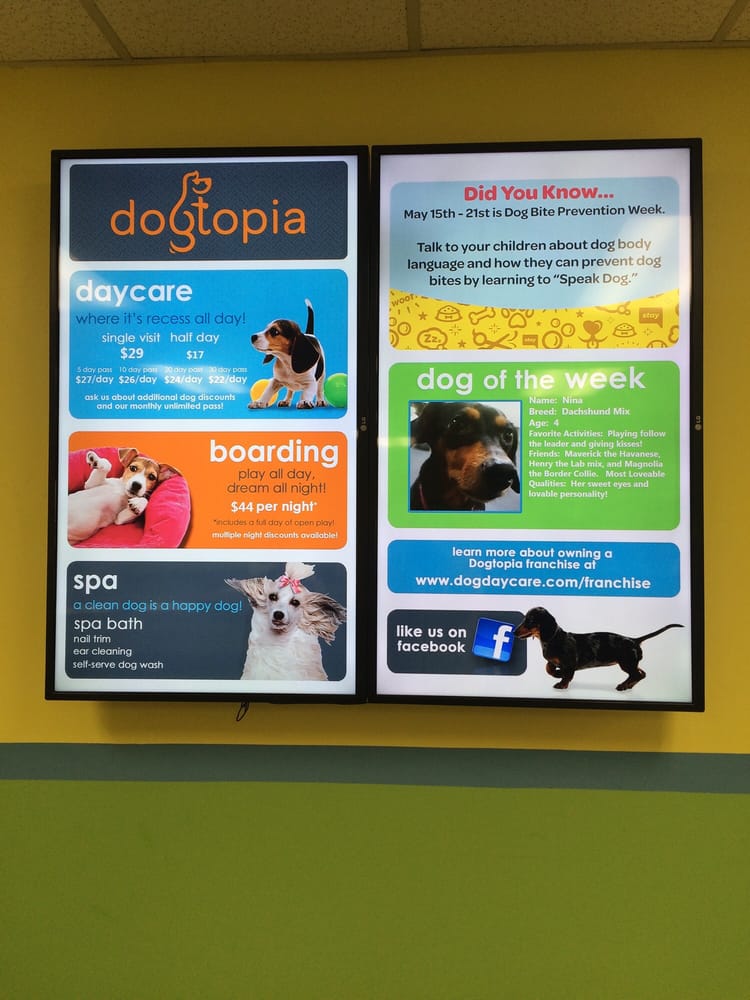 Dogtopia 13 Photos 42 Reviews Pet Sitting 616
