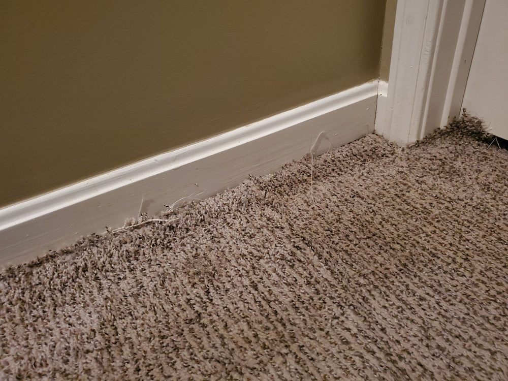 image of business Romanoff Renovations