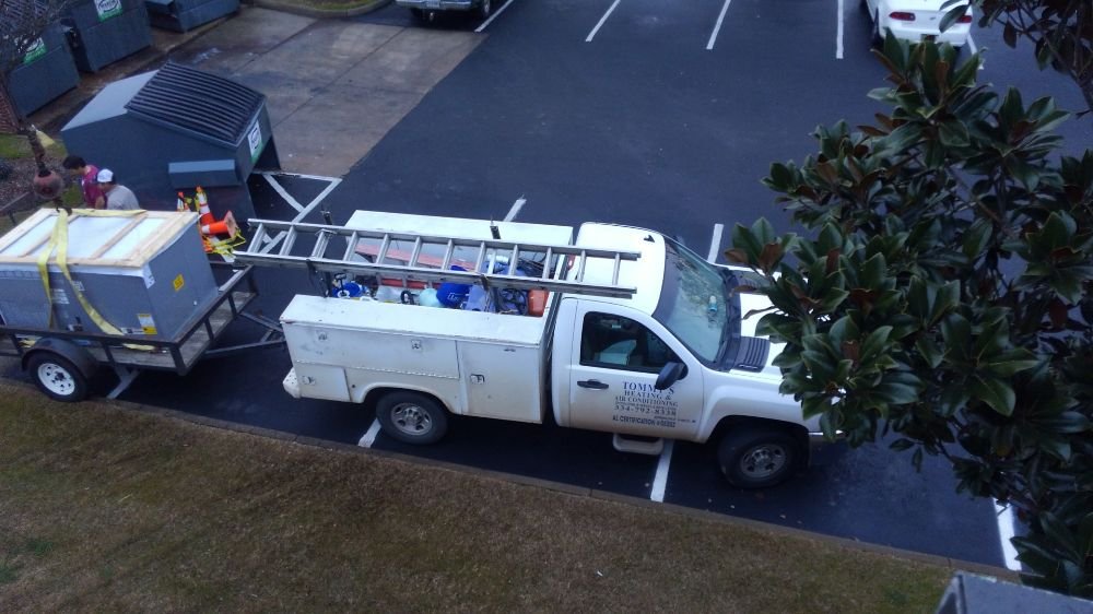 image of business Tommy