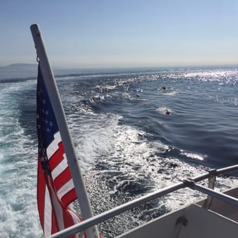 Coupons for catalina express from dana point