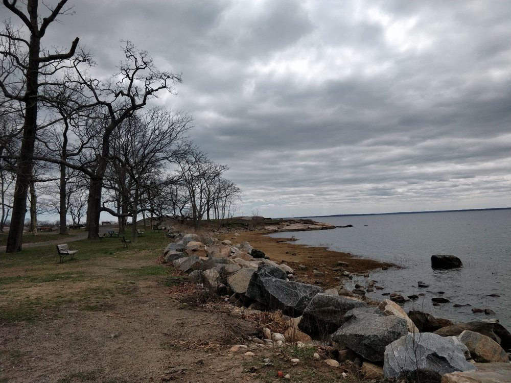 Cove Island Park 56 Photos & 38 Reviews Parks 1125 Cove Rd