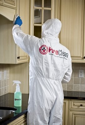 PuroClean Seattle