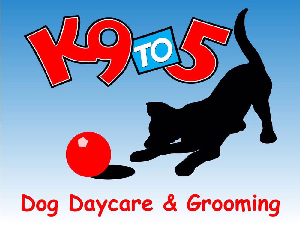 K9to5 Dog Daycare & Grooming