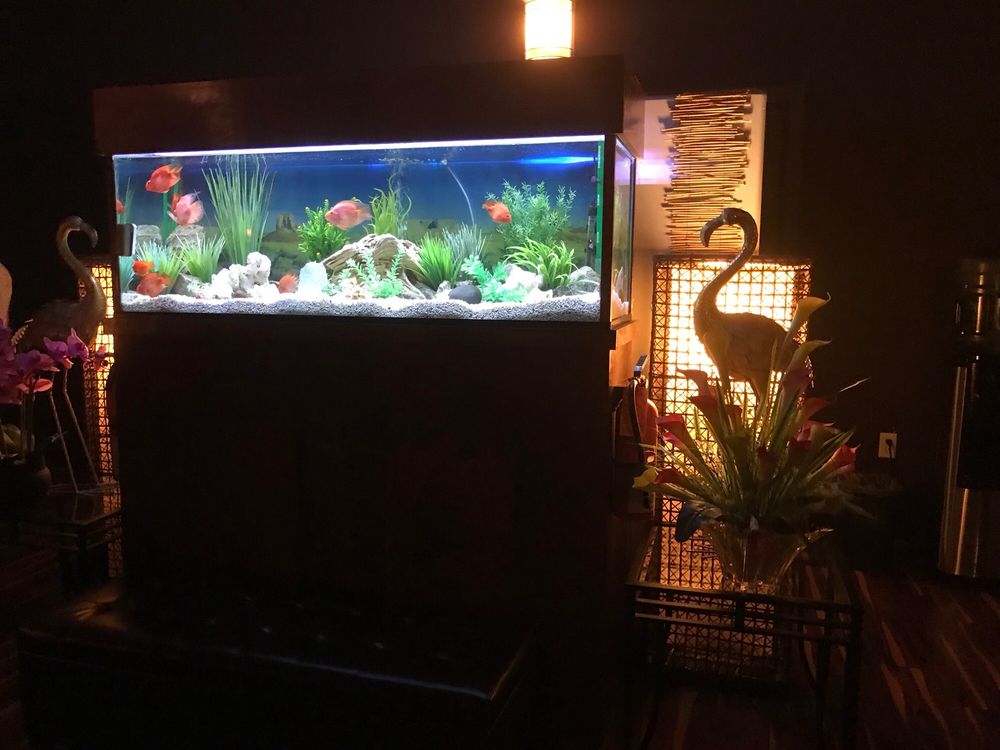 Happy Feet Houston 16 Photos & 134 Reviews Massage 11210 Bellaire