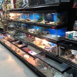 pets plus 13 photos 14 reviews pet stores 123 pets plus 13 photos 14 reviews pet stores 123