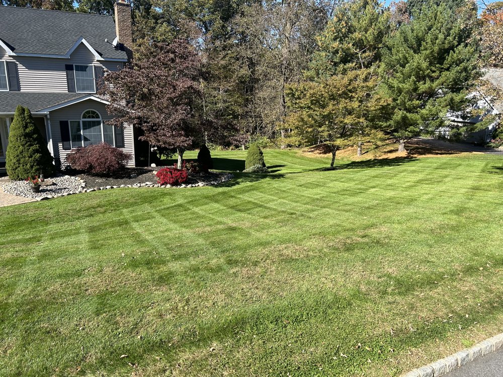 First Class Grass