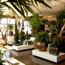 Plant Solutions Nurseries Gardening 7255 E Adobe Dr Photo Of Plant Solutions Scottsdale Az United States Showroom Floor