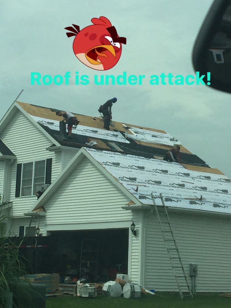 The Roofing Guys