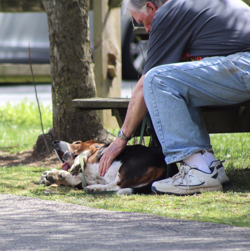 Long’s Park 55 Photos & 11 Reviews Parks 1441 Harrisburg Pike, Lancaster, PA Phone