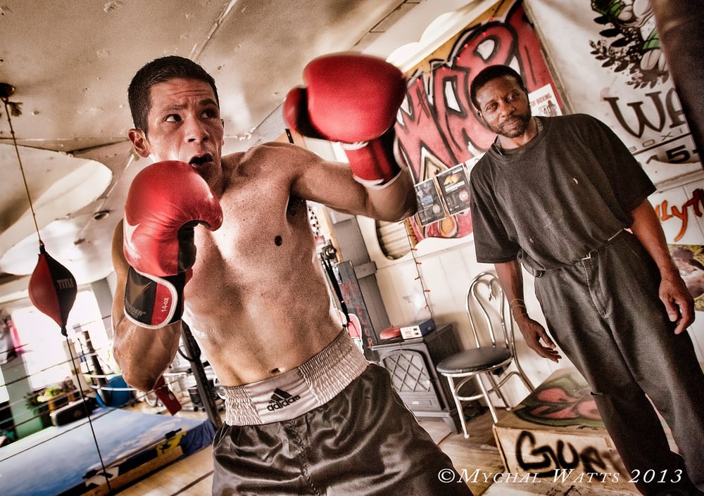 Photos for Warrior Boxing Gym Yelp