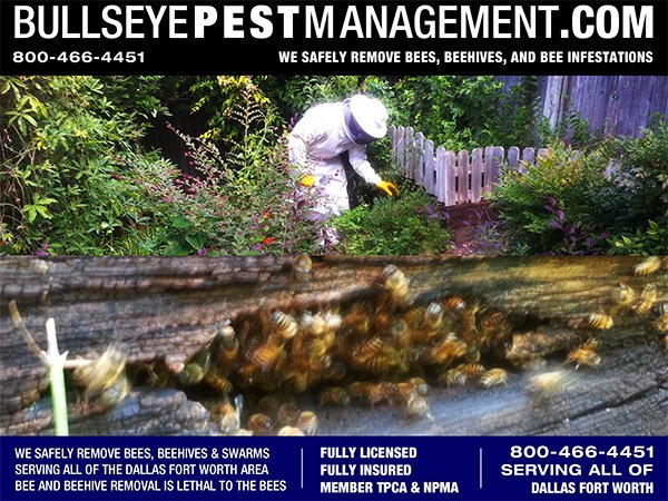 Bullseye Pest Management