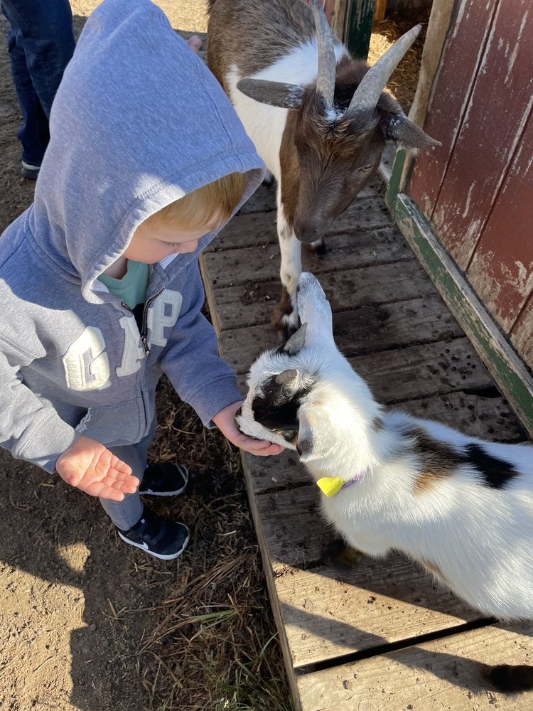 Ditmars Orchard & Vineyard, Council Bluffs Roadtrippers