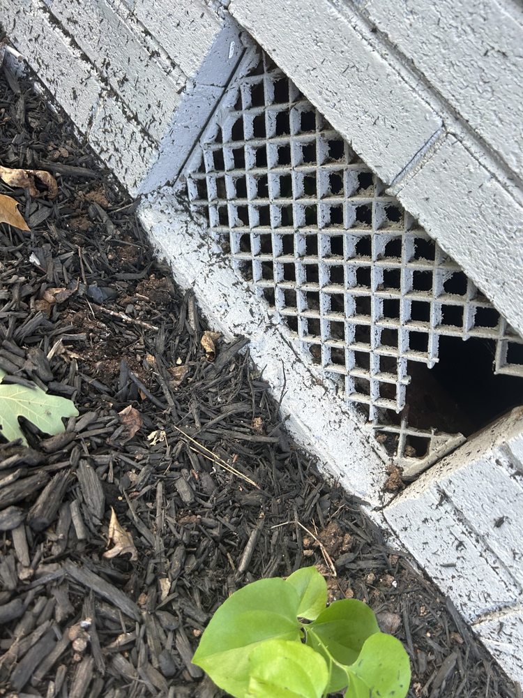 Charlotte Wildlife Removal