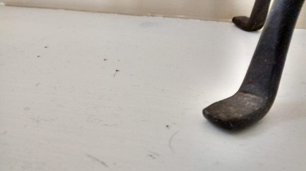 Taylor Maids & Cleaning Services