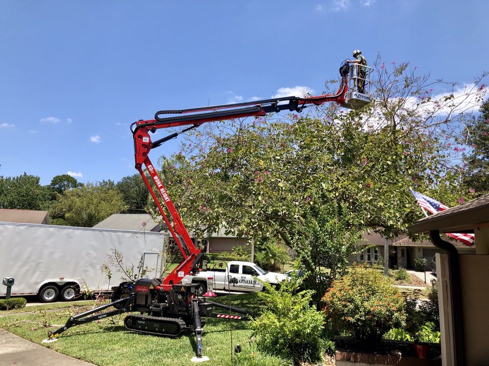 ONeils Tree Service