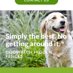 Dogwatch Of Piedmont 24 Photos Pet Training Madison Va Photo Of Dogwatch Piedmont Madison Va United States Hidden Fences