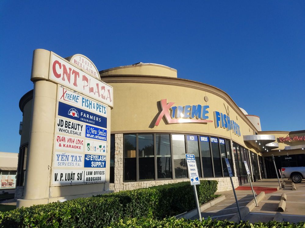 image of business New Smiles Implant & Orthodontic Center
