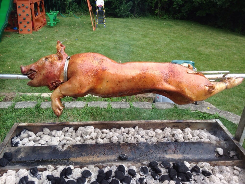 Where Do I Buy A Whole Pig Near Me Get More Anythink's