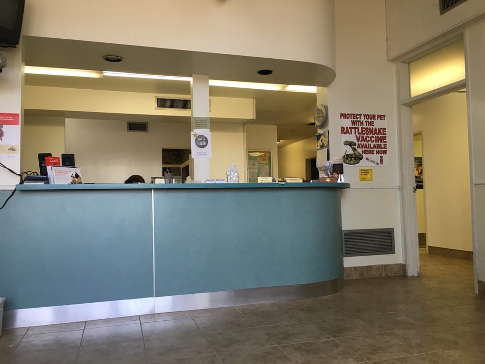 Walnut Valley Animal Hospital 17 Photos & 57 Reviews Veterinarians