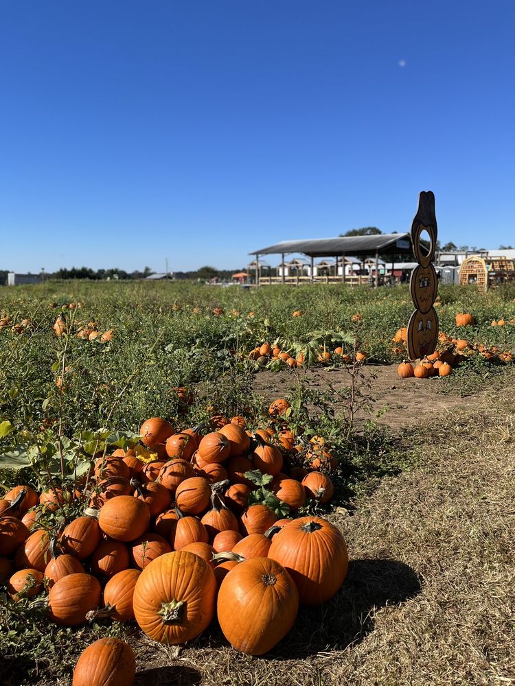 Sweet Seasons Family Farm