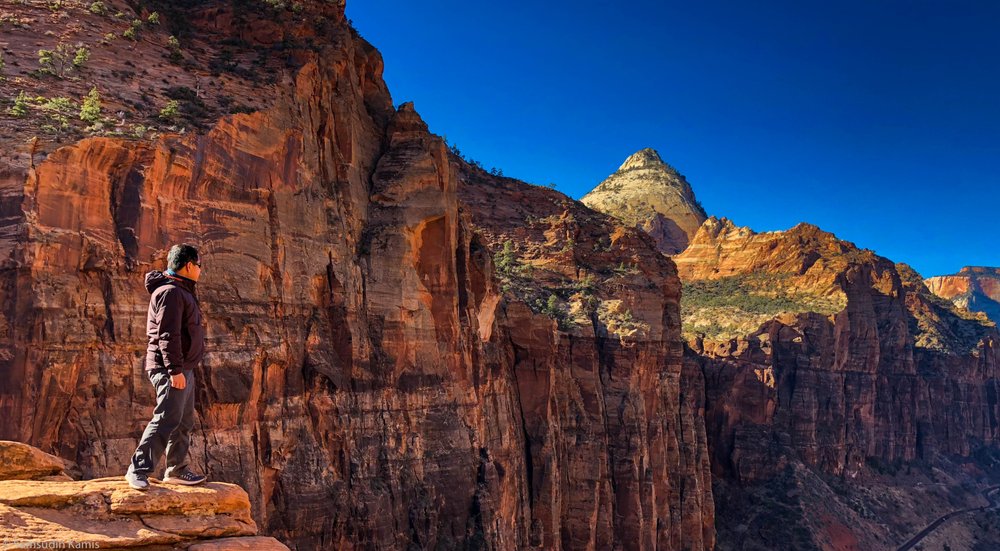 Canyon Overlook Trail 98 Photos & 13 Reviews Hiking Zion Park