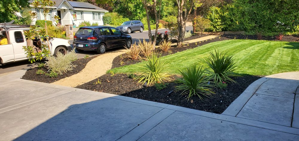 Natural Garden Landscape