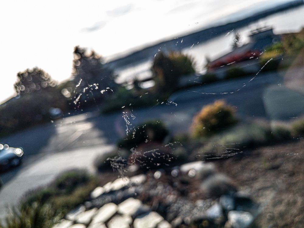 Beautiful Day Cleaning Company