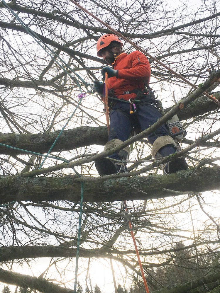 Tree Huggers 2019 All You Need to Know BEFORE You Go (with Photos