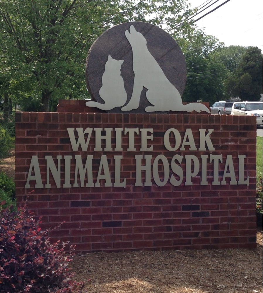 White Oak Animal Hospital 20 Reviews Veterinarians 10 Walsh Ln