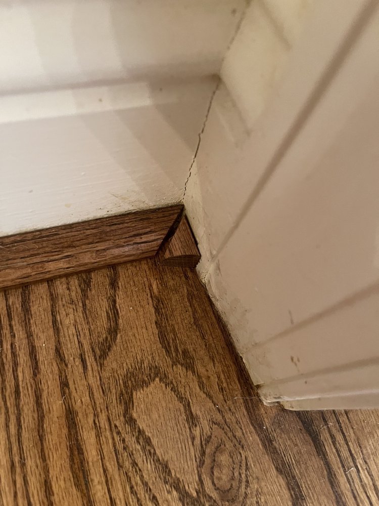 image of business Adams Carpet One Floor & Home