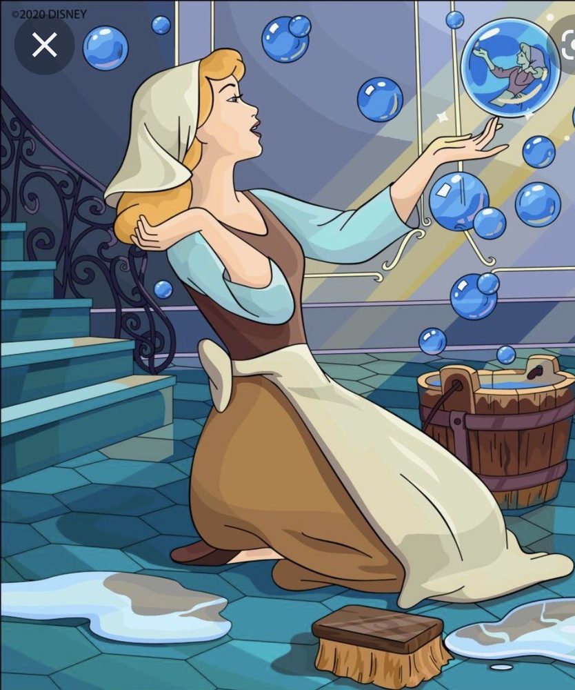 Cinderella Clean Co.