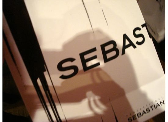 Professional Sebastian