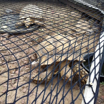 fish and pets unlimited