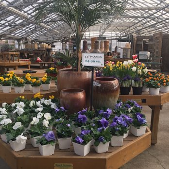 Johnson S Florist Garden Centers 19 Photos 10 Reviews Photo Of Johnson S Florist Garden Centers Olney Md United States Greenhouse