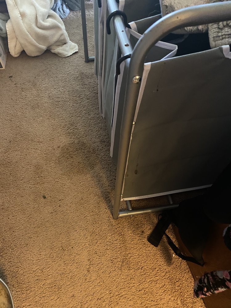 Roto-Rooter Plumbing & Water Cleanup