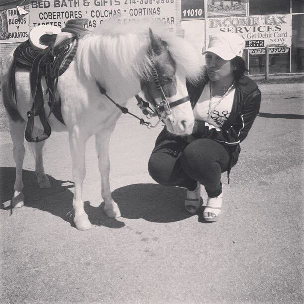Plaza Latina Bazaar Harry Hines La Glitter Quinceanera Dresses Dallas