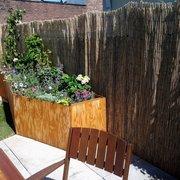 New York Plantings Garden Design - 43 Photos - Gardeners - 2672 21st St