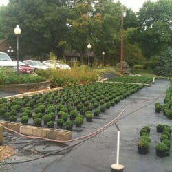 Parkview Gardens Florist And Greenhouses Nurseries Gardening Photo Of Parkview Gardens Florist And Greenhouses Saint Charles Mo United States