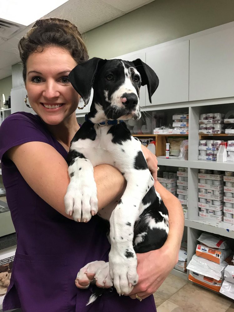 Austin Veterinary Diagnostic Hospital 20 Photos & 75 Reviews