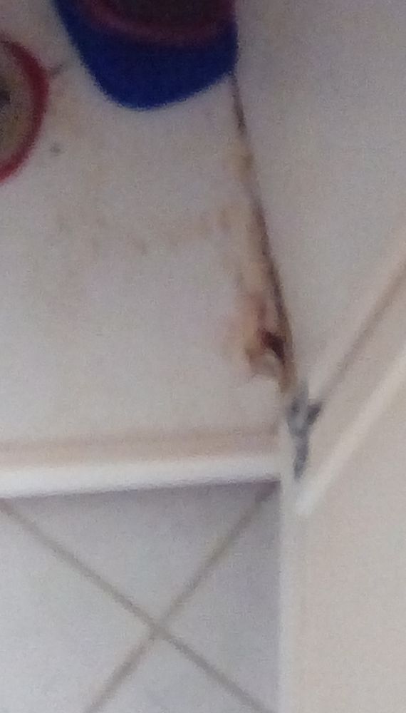 His N Hers ALL-PRO Home Services