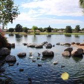 Freestone Park - 79 Photos &amp; 60 Reviews - Parks - 1045 E &hellip;