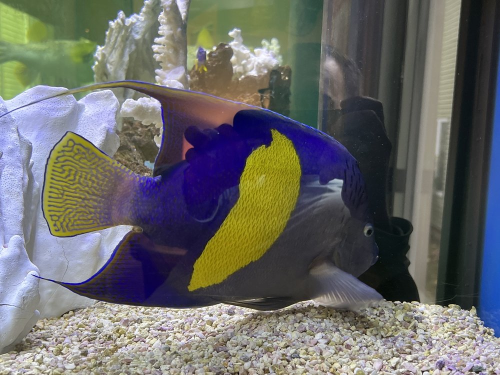 image of business Greenleaf Dental Care