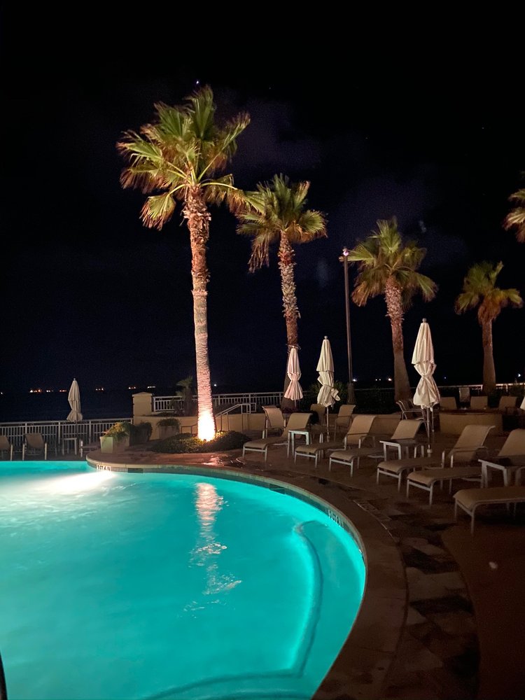 Palisade Palms