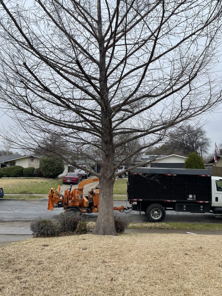 Tactical Tree Operations