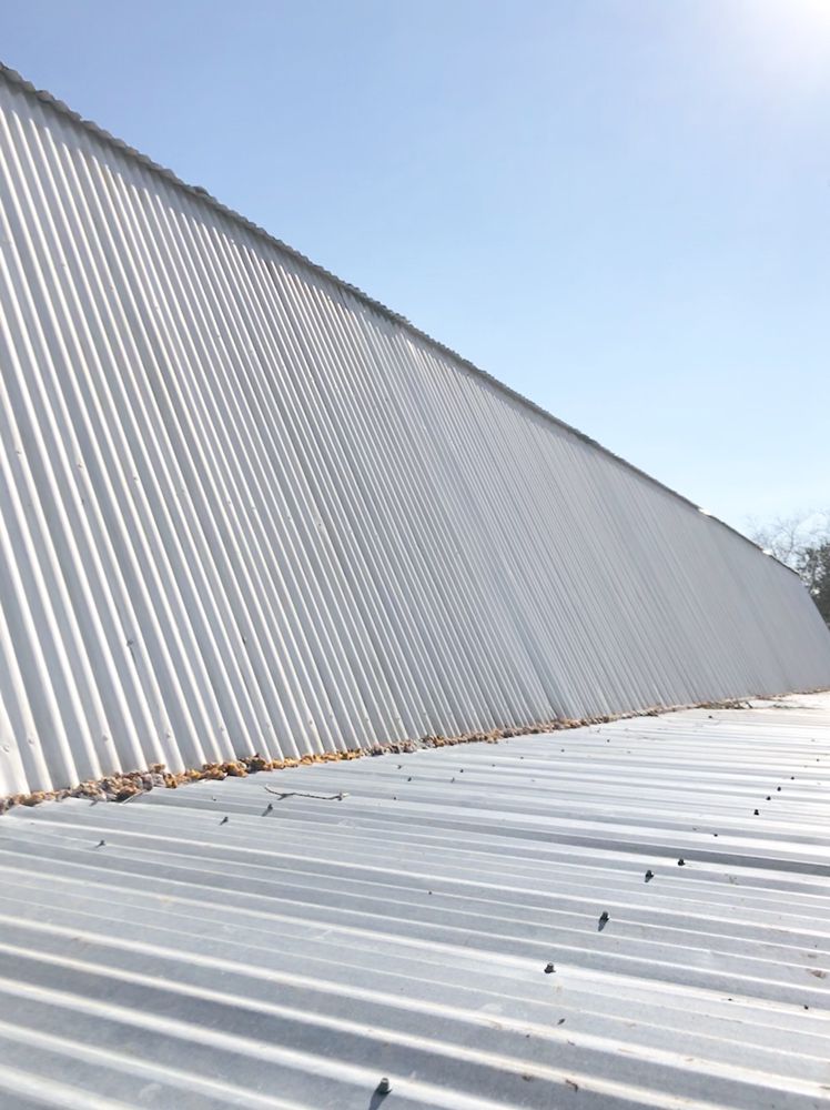 Champion Roof Cleaning and Pressure Washing