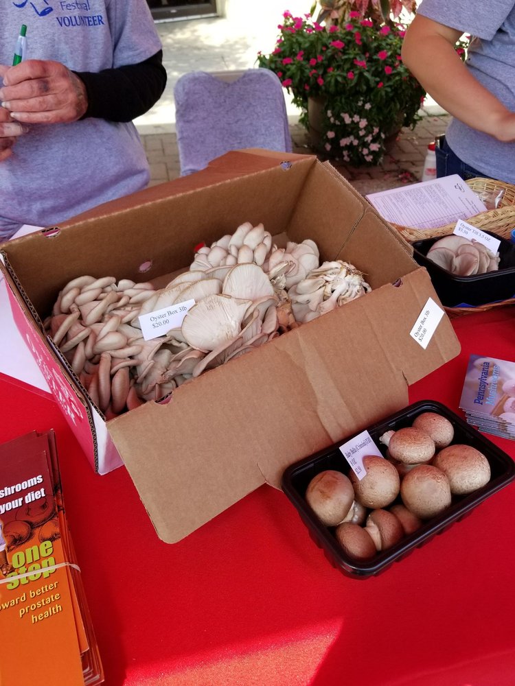Square Mushroom Festival Festivals 114 W State St,